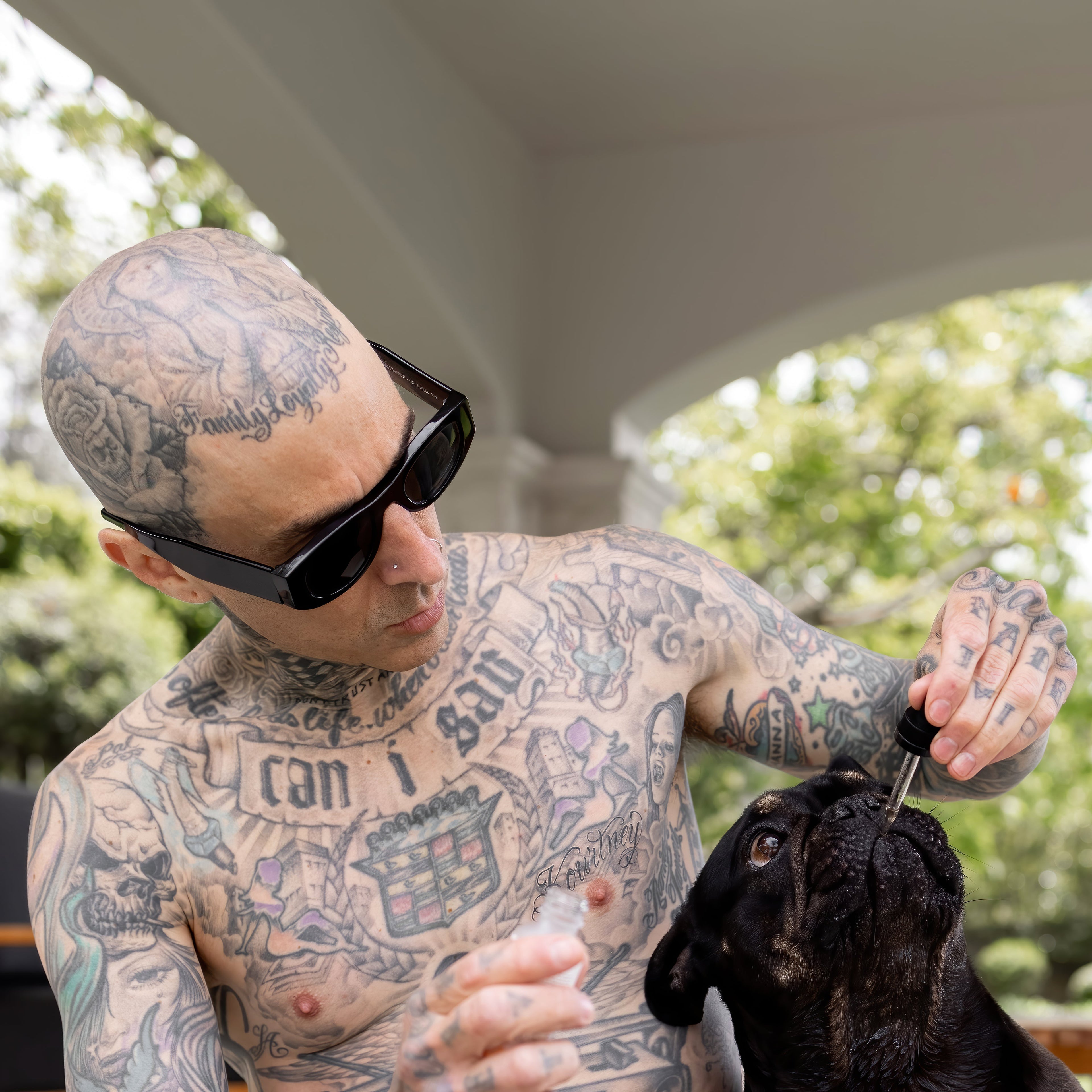 Travis Barker and his dog Louis with Pet Tincture